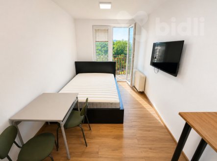 Pronájem bytu, 1+kk, 17 m²