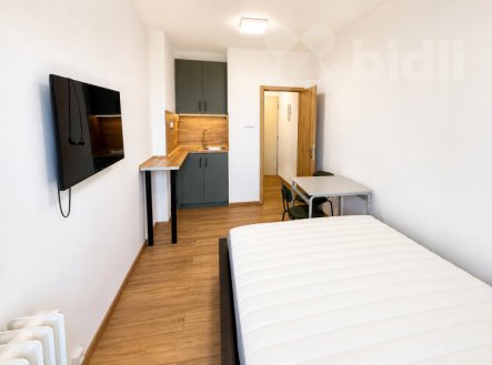 Pronájem bytu, 1+kk, 17 m²