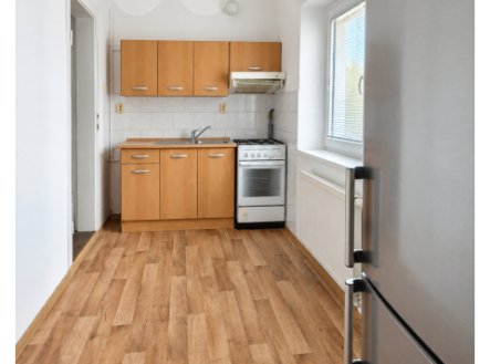 Pronájem bytu, 1+1, 53 m²