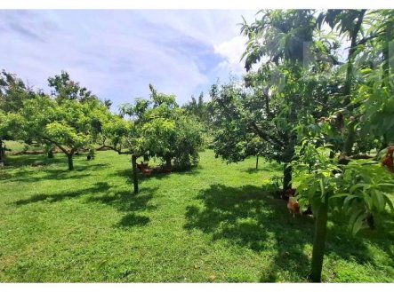 Výjimečný pravidelný rovný stavební pozemek - Čejkovice, okres Znojmo | Prodej - pozemek pro bydlení, 1 313 m²