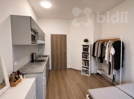 Pronájem bytu, garsoniéra, 15 m²