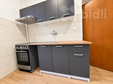 Pronájem bytu, 1+1, 44 m²
