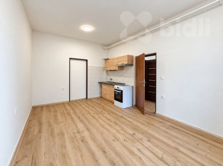 Pronájem bytu, 1+1, 44 m²