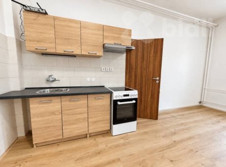 Pronájem bytu, 1+1, 44 m²