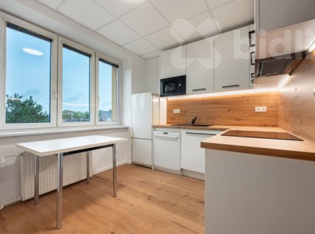 Pronájem bytu, 2+1, 56 m²