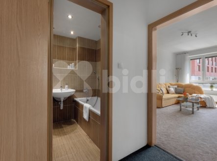 Pronájem bytu, 2+1, 56 m²