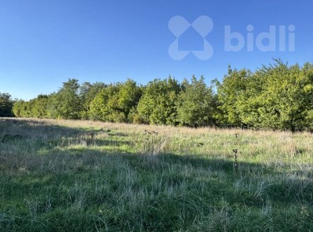 Prodej pozemku pro bydlení, 1 756 m²