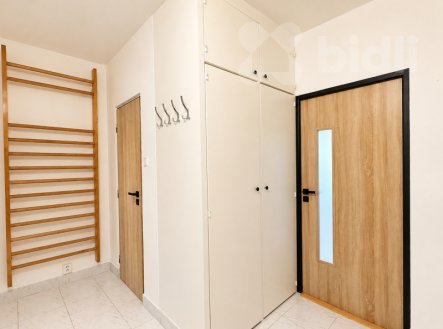 Pronájem bytu, 2+1, 54 m²
