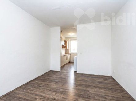 Pronájem bytu, 2+1, 45 m²