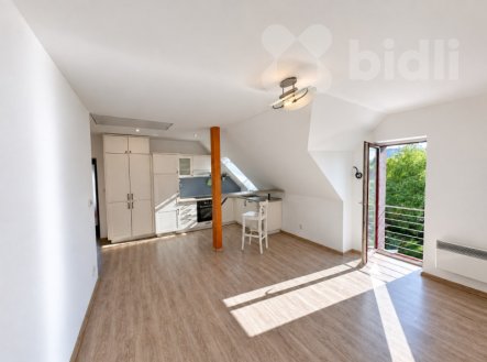 Pronájem bytu, 2+kk, 58 m²