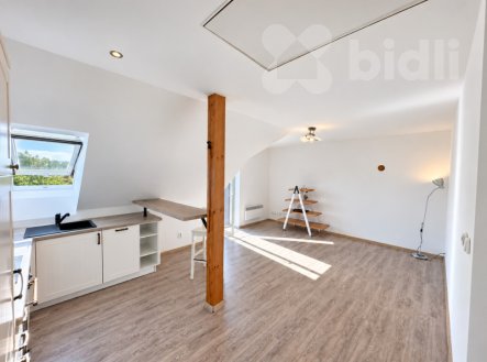 Pronájem bytu, 2+kk, 58 m²