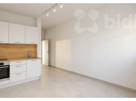 Prodej bytu, 1+kk, 19 m²
