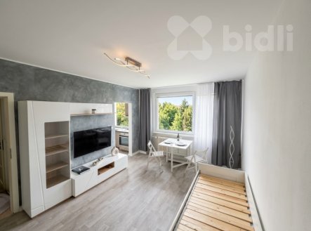 Pronájem bytu, 1+1, 28 m² obrázek