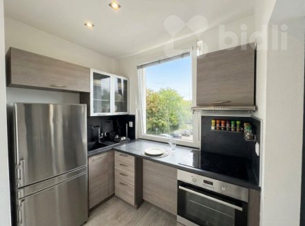 Pronájem bytu, 1+1, 28 m²