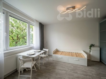 Pronájem bytu, 1+1, 28 m²