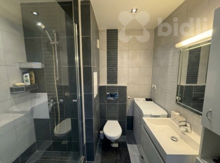 Pronájem bytu, 1+1, 28 m²