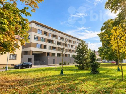 Pronájem bytu, 2+kk, 55 m²