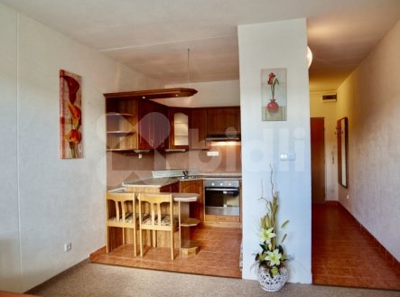 Pronájem bytu, 1+kk, 32 m²