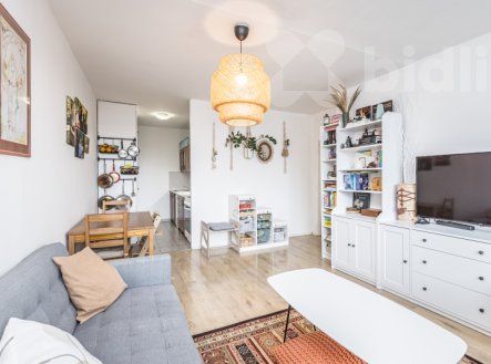 Prodej bytu, 3+kk, 56 m²