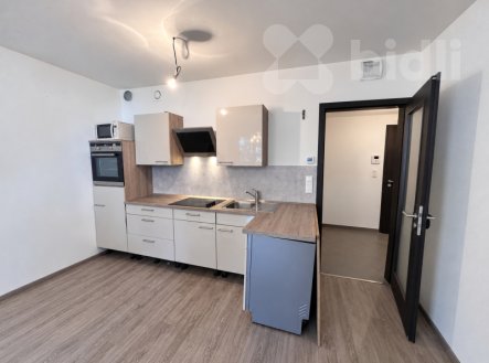 Pronájem bytu, 2+kk, 55 m²