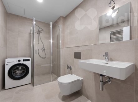 Pronájem bytu, 1+kk, 41 m²