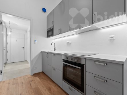 Pronájem bytu, 1+kk, 41 m²