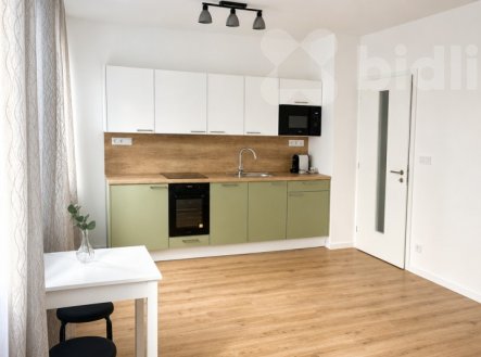 Pronájem bytu, 1+kk, 38 m²