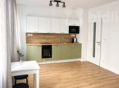 Pronájem bytu, 1+kk, 38 m²