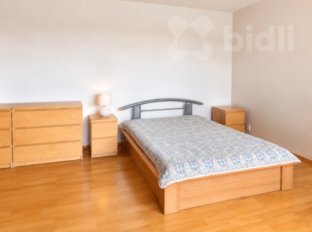 Pronájem bytu, 1+kk, 53 m²