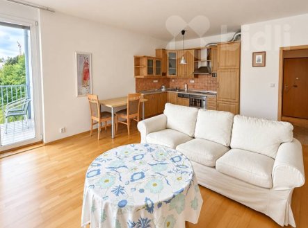 Pronájem bytu, 1+kk, 53 m²