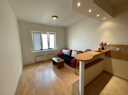 Prodej bytu, 1+kk, 26 m²