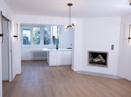 Pronájem domu/vily, 230 m²