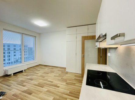 Pronájem bytu, 1+kk, 29 m²
