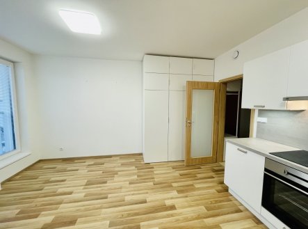 Pronájem bytu, 1+kk, 29 m²