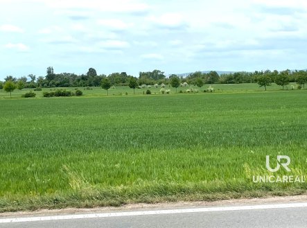 Prodej pozemku, zemědělská půda, 11 752 m²