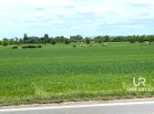 Prodej pozemku, zemědělská půda, 11 752 m²