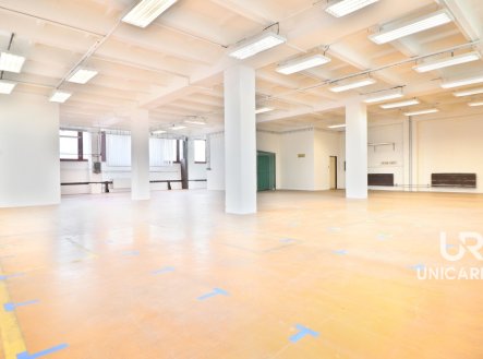 Pronájem komerčního objektu, sklad, 333 m²