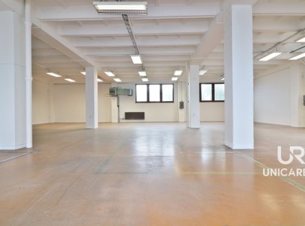 Pronájem komerčního objektu, sklad, 333 m²
