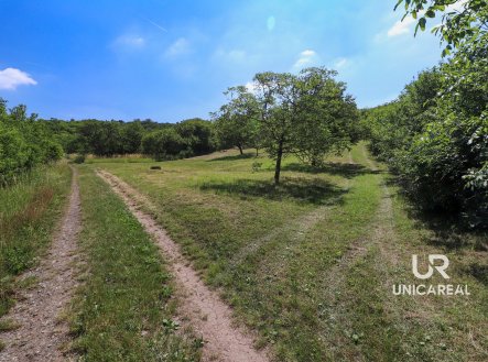 Prodej pozemku, ostatní, 3 851 m²