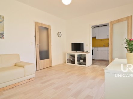 Prodej bytu, 1+1, 46 m²