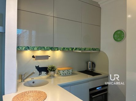 Pronájem bytu, 1+kk, 30 m²