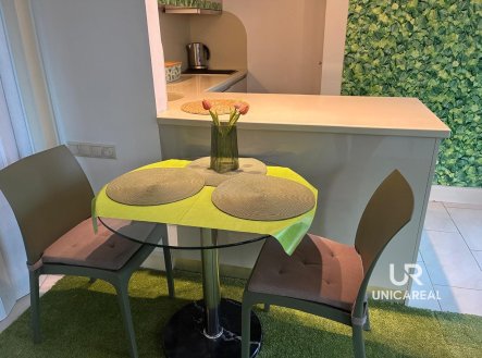 Pronájem bytu, 1+kk, 30 m²