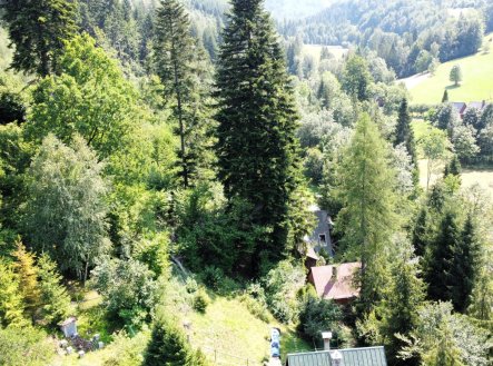 Prodej pozemku, les, 644 m²