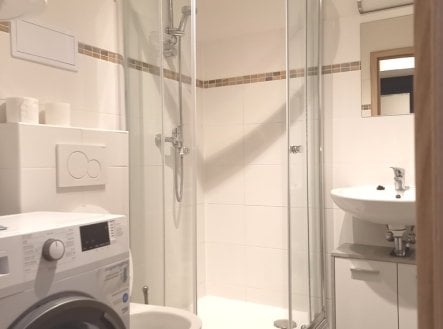 Pronájem bytu, 1+kk, 23 m²