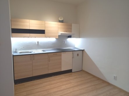 Pronájem bytu, 1+kk, 23 m²