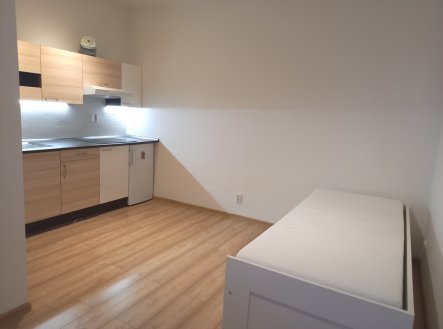 Pronájem bytu, 1+kk, 23 m²