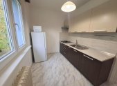 Pronájem bytu, 2+1, 54 m²
