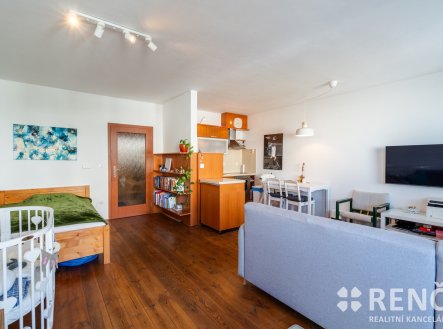 Prodej bytu, 1+kk, 46 m²