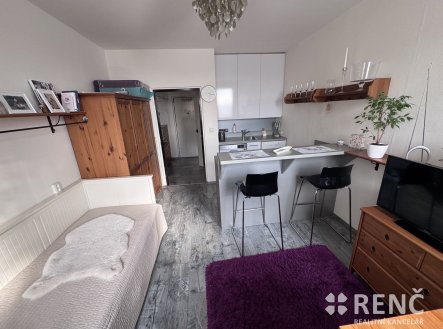 Prodej bytu, 1+kk, 23 m²