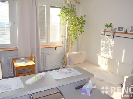 Prodej bytu, 1+kk, 23 m²